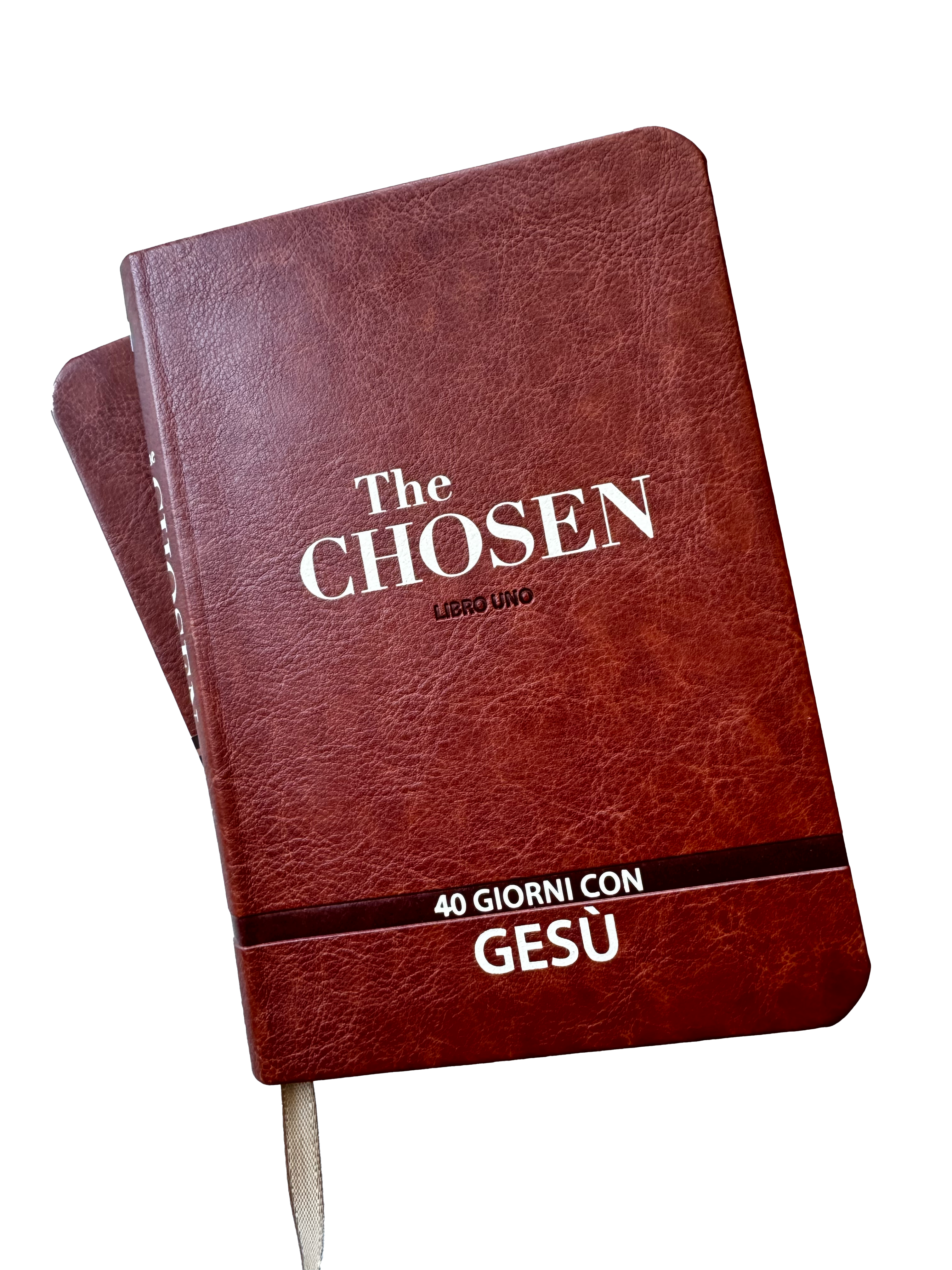 The Chosen: 40 giorni con Gesù