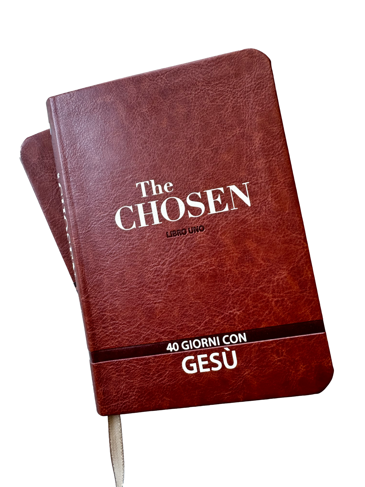 The Chosen: 40 giorni con Gesù