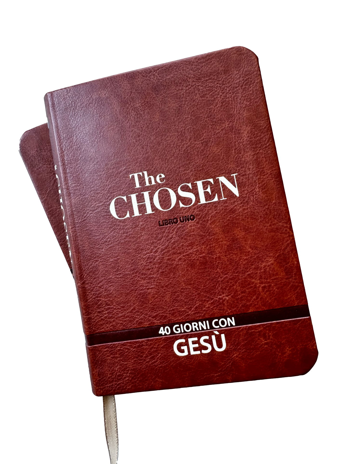 The Chosen: 40 giorni con Gesù